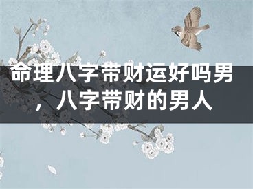 命理八字带财运好吗男,八字带财的男人