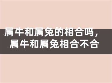 属牛和属兔的相合吗，属牛和属兔相合不合