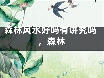 森林风水好吗有讲究吗，森林
