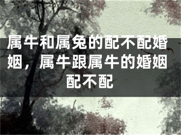 属牛和属兔的配不配婚姻，属牛跟属牛的婚姻配不配