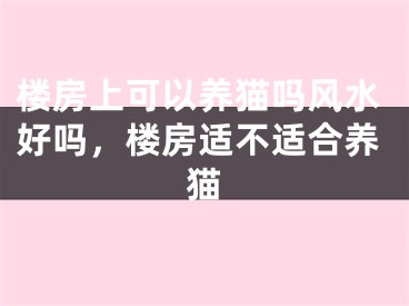 楼房上可以养猫吗风水好吗，楼房适不适合养猫