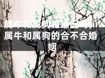 属牛和属狗相最配吗，属牛和属狗的合不合婚姻