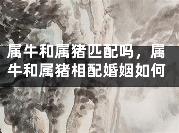 属牛和属猪匹配吗，属牛和属猪相配婚姻如何