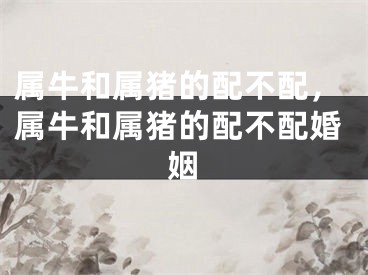 属牛和属猪的配不配,属牛和属猪的配不配婚姻