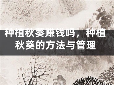 种植秋葵赚钱吗，种植秋葵的方法与管理
