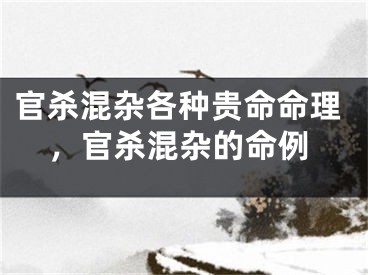 官杀混杂各种贵命命理，官杀混杂的命例