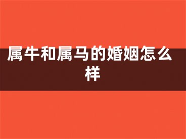属牛和属马的婚姻怎么样