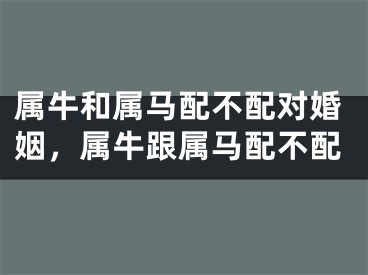 属牛和属马配不配对婚姻,属牛跟属马配不配