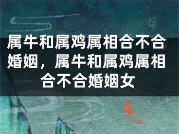 属牛和属鸡属相合不合婚姻，属牛和属鸡属相合不合婚姻女