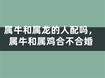 属牛和属龙的人配吗，属牛和属鸡合不合婚