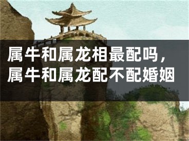 属牛和属龙相最配吗,属牛和属龙配不配婚姻