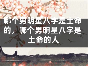 哪个男明星八字是土命的,哪个男明星八字是土命的人