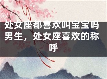 处女座都喜欢叫宝宝吗男生，处女座喜欢的称呼