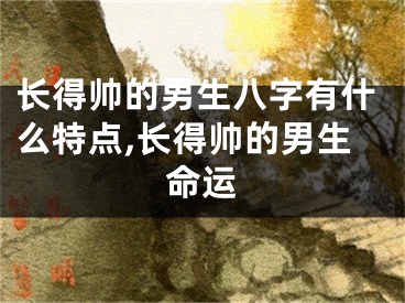 长得帅的男生八字有什么特点,长得帅的男生命运