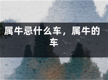 属牛忌什么车，属牛的车