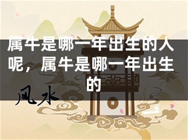 属牛是哪一年出生的人呢，属牛是哪一年出生的
