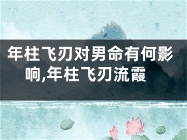 年柱飞刃对男命有何影响,年柱飞刃流霞