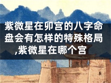 紫微星在卯宫的八字命盘会有怎样的特殊格局,紫微星在哪个宫