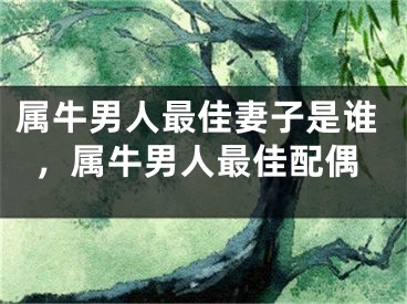 属牛男人最佳妻子是谁，属牛男人最佳配偶