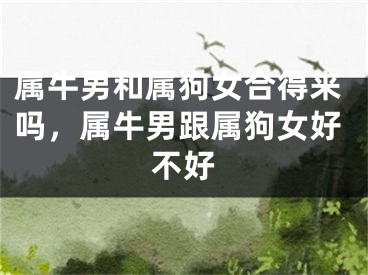属牛男和属狗女合得来吗，属牛男跟属狗女好不好