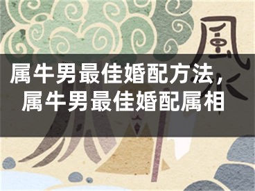 属牛男最佳婚配方法，属牛男最佳婚配属相