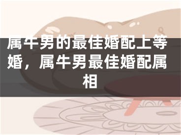 属牛男的最佳婚配上等婚，属牛男最佳婚配属相