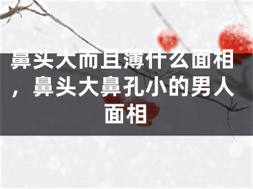 鼻头大而且薄什么面相，鼻头大鼻孔小的男人面相