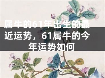 属牛的61年出生的最近运势，61属牛的今年运势如何