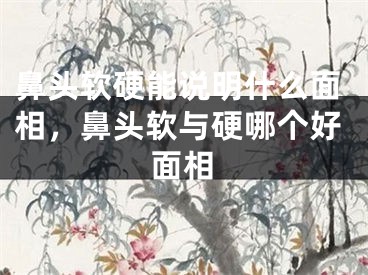鼻头软硬能说明什么面相，鼻头软与硬哪个好面相