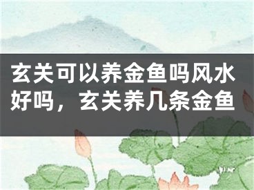 玄关可以养金鱼吗风水好吗，玄关养几条金鱼