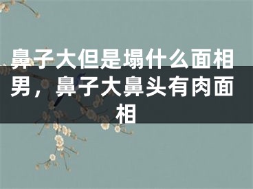 鼻子大但是塌什么面相男，鼻子大鼻头有肉面相
