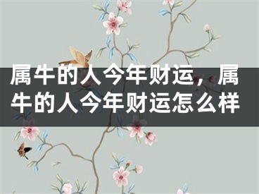 属牛的人今年财运，属牛的人今年财运怎么样