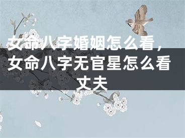 女命八字婚姻怎么看，女命八字无官星怎么看丈夫