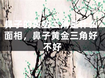 鼻子的黄金三角是什么面相，鼻子黄金三角好不好