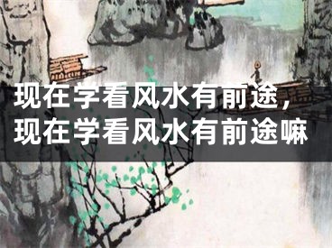 现在学看风水有前途，现在学看风水有前途嘛