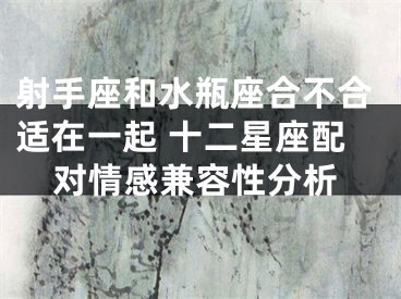 射手座和水瓶座合不合适在一起 十二星座配对情感兼容性分析