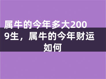 属牛的今年多大2009生，属牛的今年财运如何