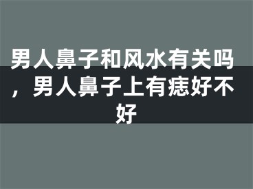 男人鼻子和风水有关吗，男人鼻子上有痣好不好