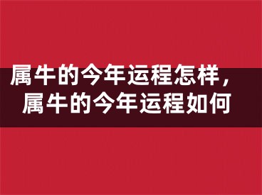 属牛的今年运程怎样，属牛的今年运程如何