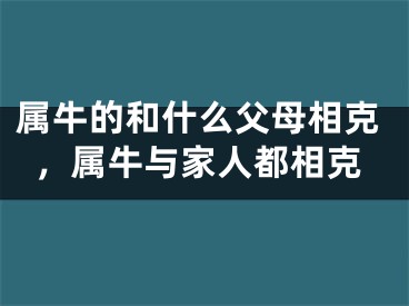 属牛的和什么父母相克，属牛与家人都相克