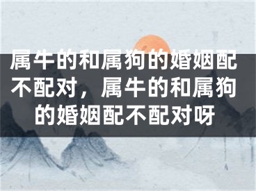 属牛的和属狗的婚姻配不配对,属牛的和属狗的婚姻配不配对呀
