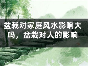 盆栽对家庭风水影响大吗，盆栽对人的影响