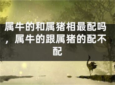 属牛的和属猪相最配吗,属牛的跟属猪的配不配