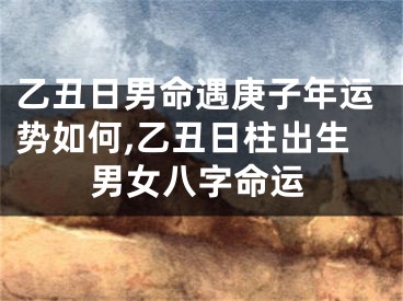 乙丑日男命遇庚子年运势如何,乙丑日柱出生男女八字命运