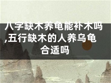 八字缺木养龟能补木吗,五行缺木的人养乌龟合适吗