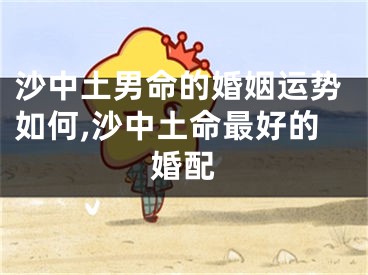 沙中土男命的婚姻运势如何,沙中土命最好的婚配