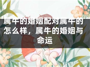 属牛的婚姻配对属牛的怎么样，属牛的婚姻与命运