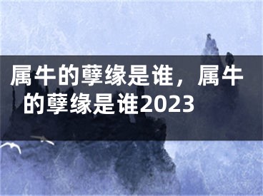 属牛的孽缘是谁，属牛的孽缘是谁2023