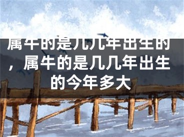 属牛的是几几年出生的，属牛的是几几年出生的今年多大
