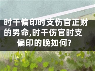 时干偏印时支伤官正财的男命,时干伤官时支偏印的晚如何?